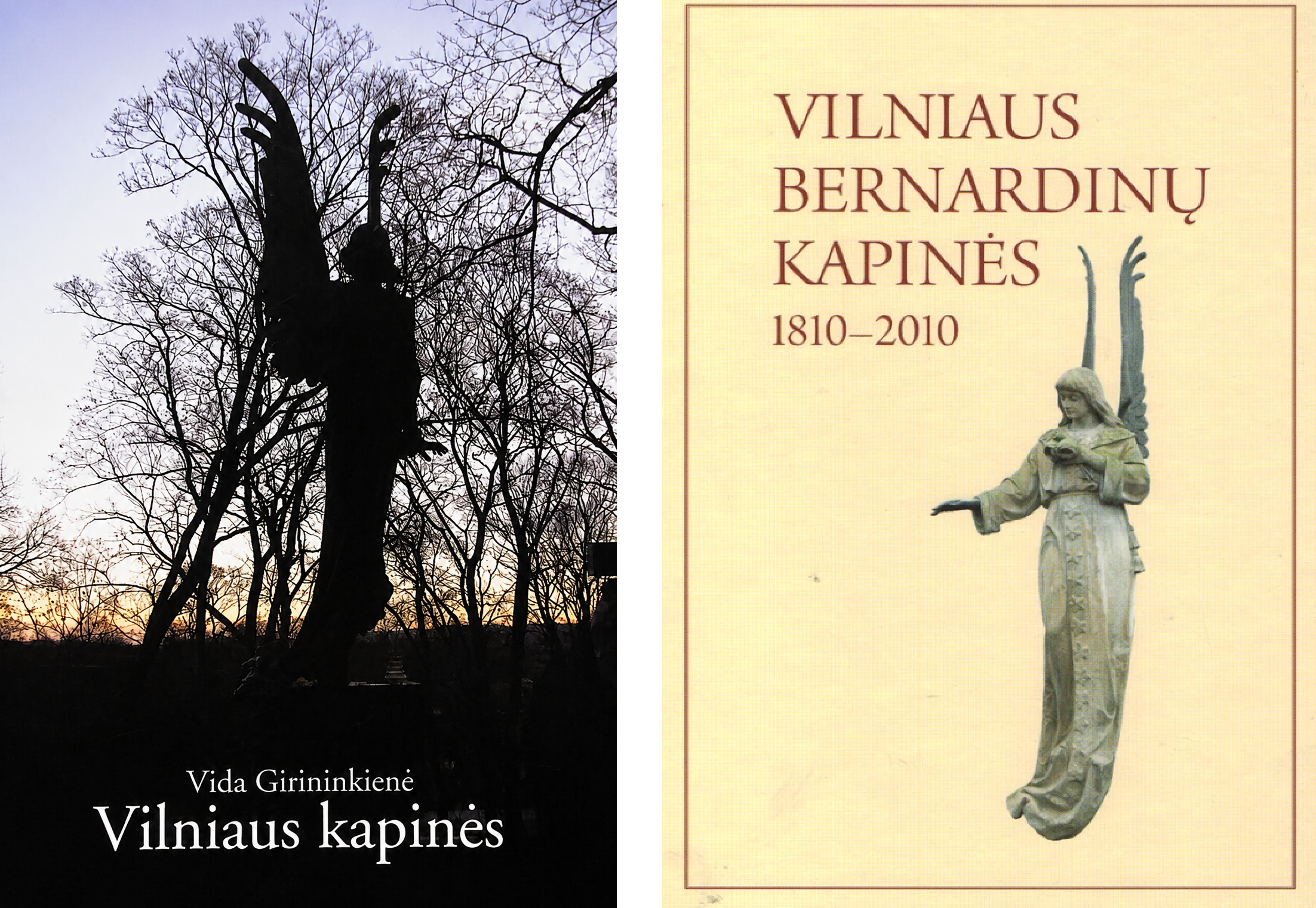 foto VLN KAPINES+bernardinai.png